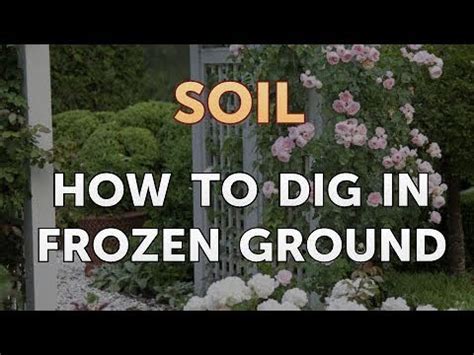 How to Dig in Frozen Ground: A Complete Guide